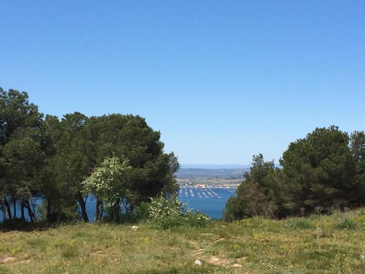3P Climatise Avec Parking, Piscine, Proche Plage Et Commerces A Sete - Fr-1-338-497 Exteriör bild